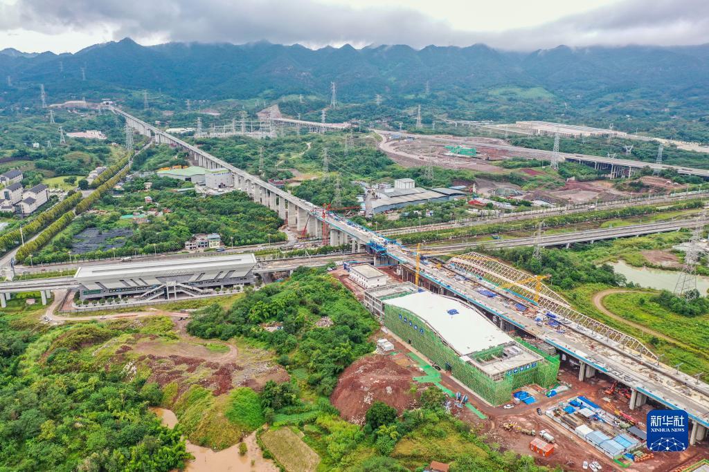 佰利集团陈俊廷